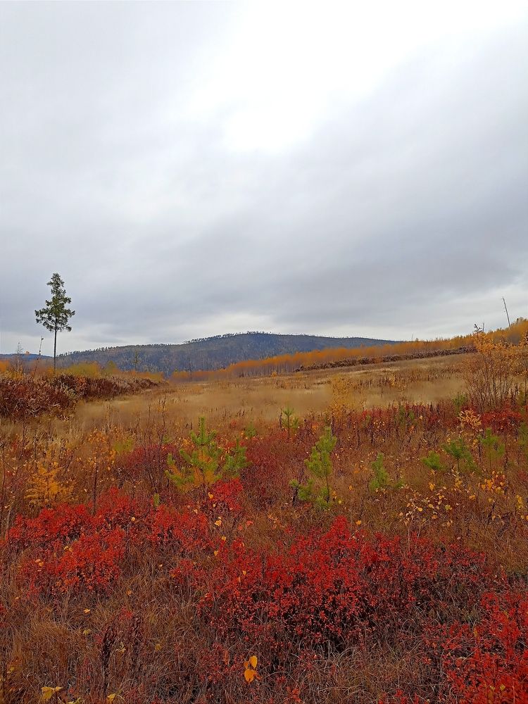 Photograph by Дмитрий Хохуля