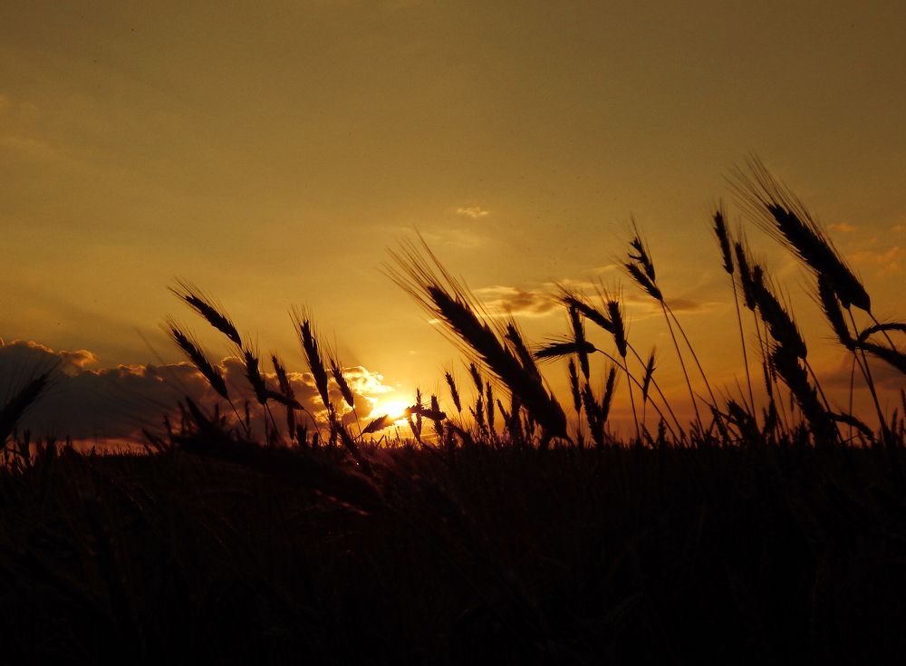 оранжевый закат