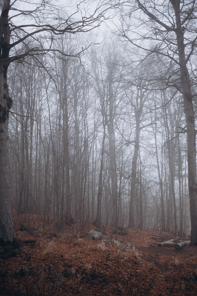 Photograph by Лина Лазарева