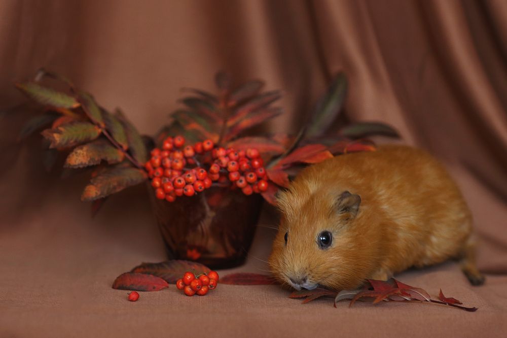 Photograph by Юлия Уфимцева