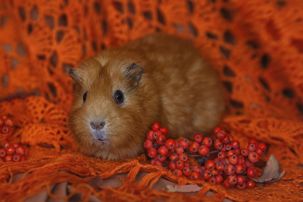 Photograph by Юлия Уфимцева