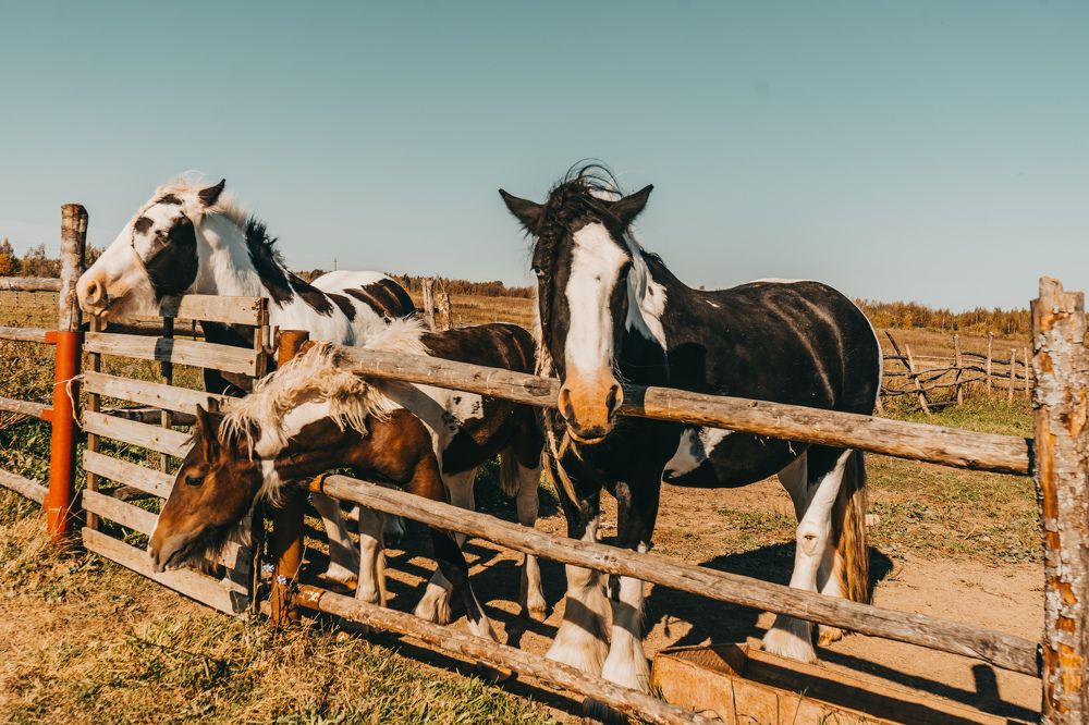 Photograph by Евгений Калагаев