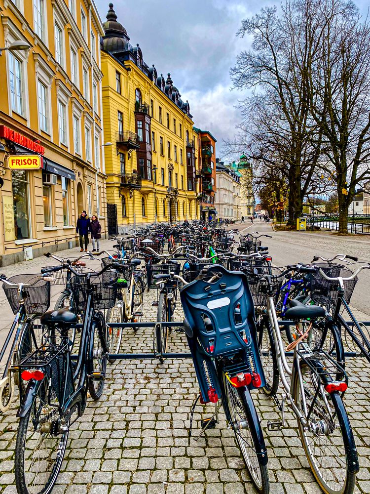 Photograph by Eliane Pellegrini