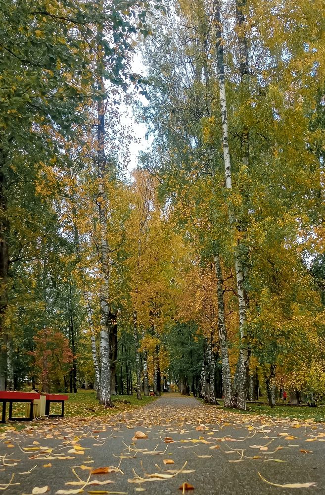 Photograph by Николай Грекалов