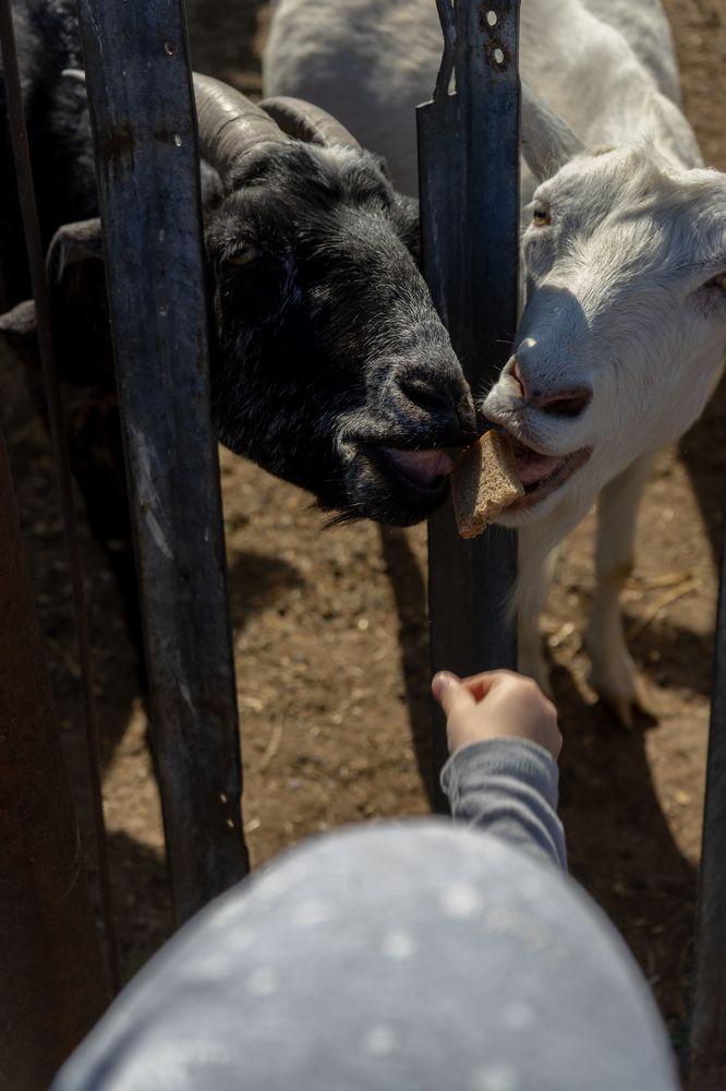 Photograph by Евгений Калагаев