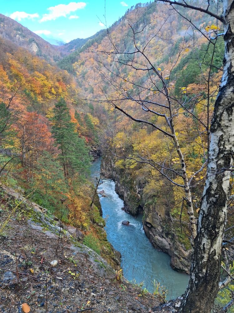 Photograph by Наталья Каплина