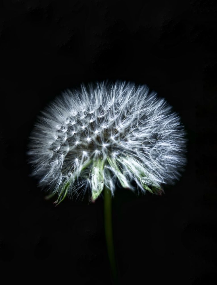 Photograph by Ирина Шилина