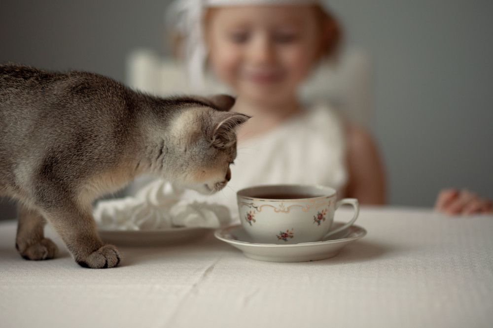 Photograph by Алла Аюпова