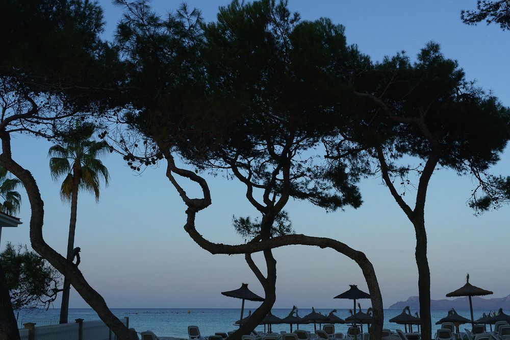 Photograph by Виктория Лаврова