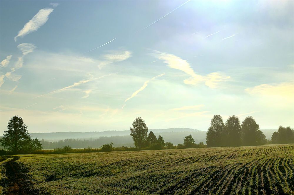 Photograph by Александр Шувалов