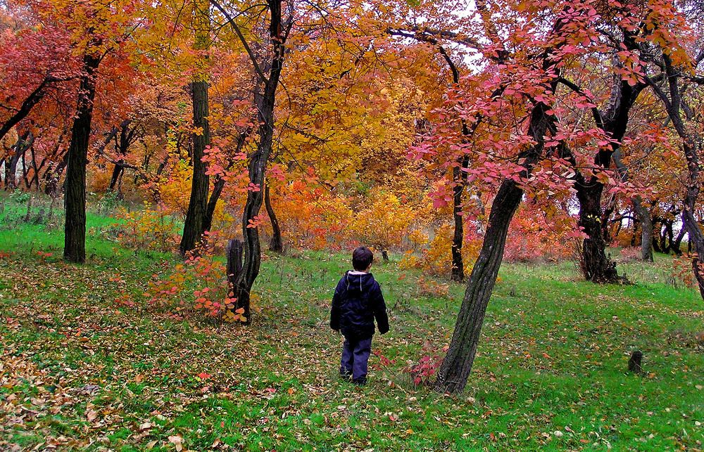 Photograph by Леонид Дрюченко