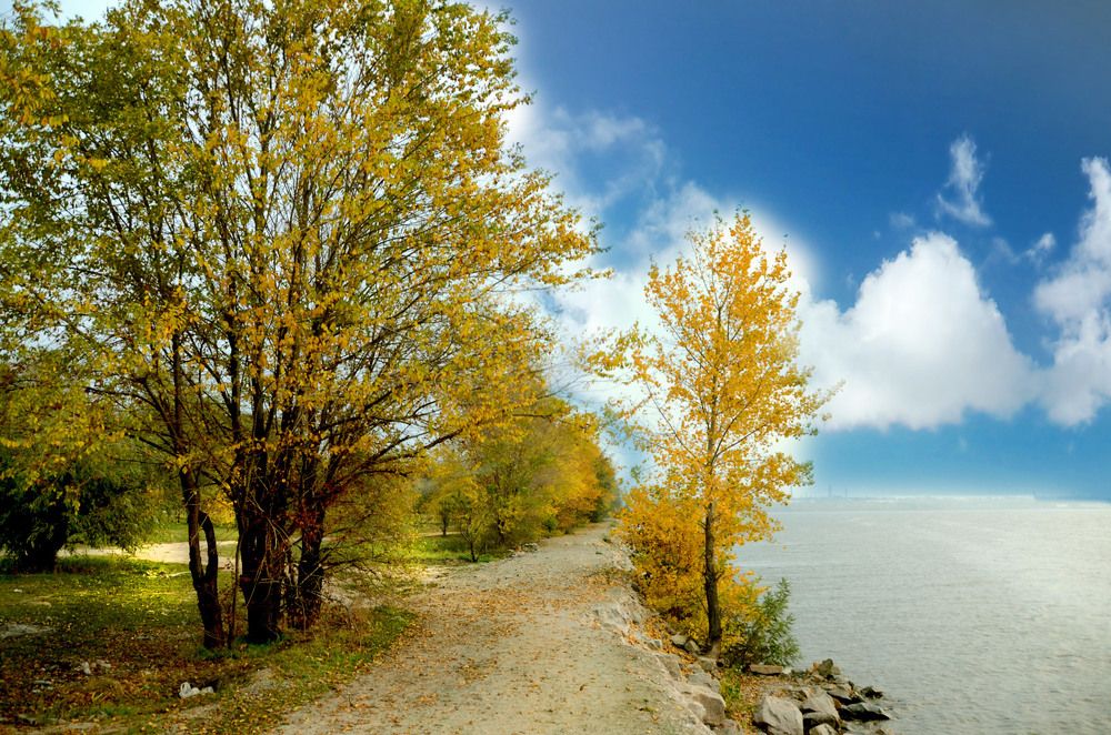 Photograph by Леонид Дрюченко