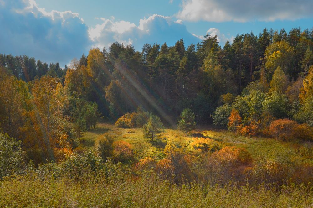 Photograph by Екатерина Казарцева