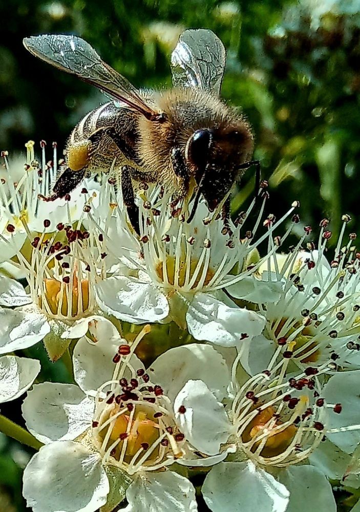 Photograph by Евгений Савулькин