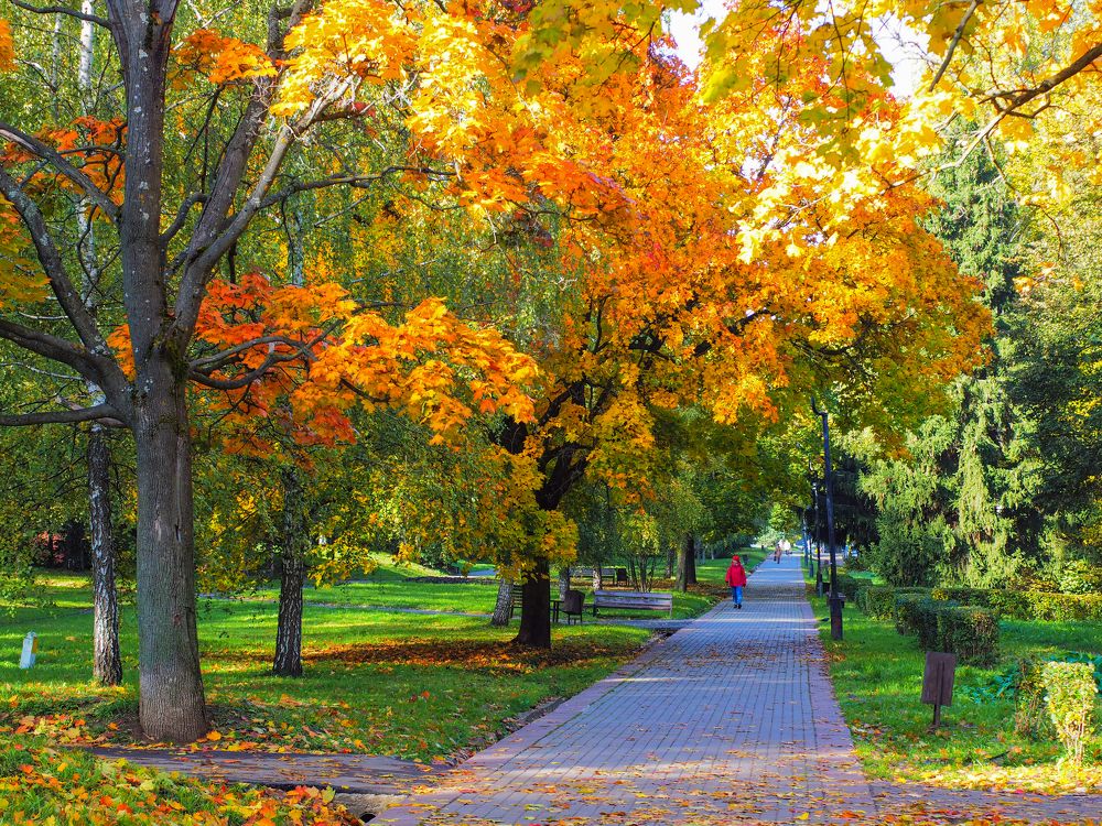 Photograph by Андрей Михайлин