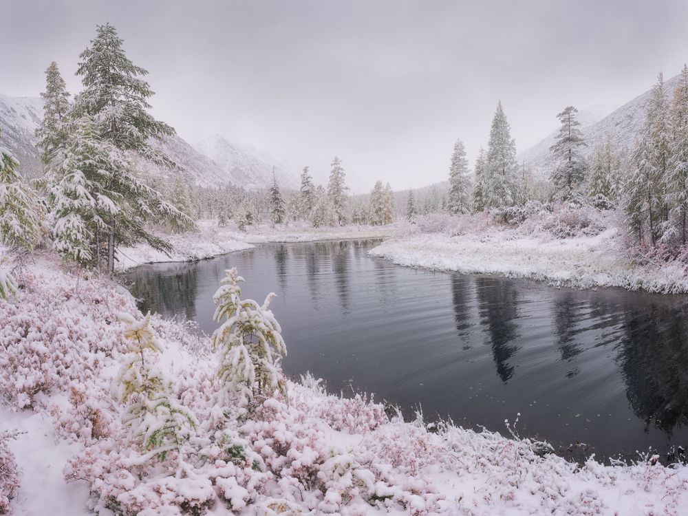 Фотография автора Dmitry Medyancev