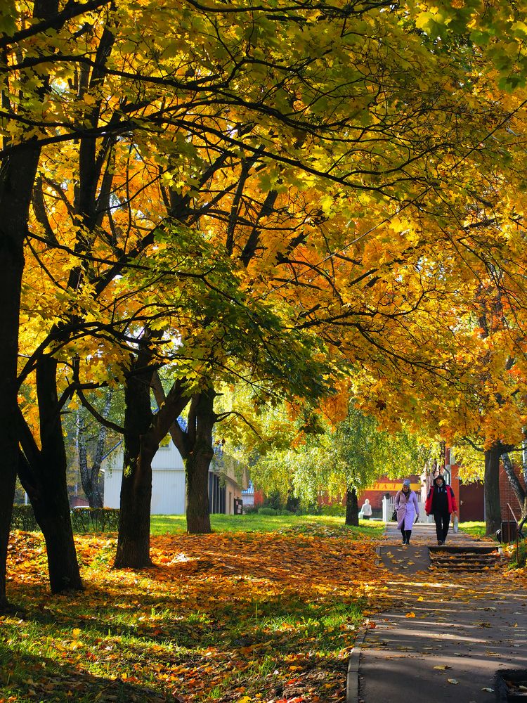 Photograph by Андрей Михайлин