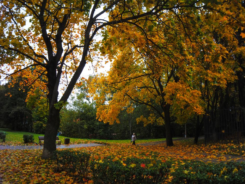 Photograph by Андрей Михайлин