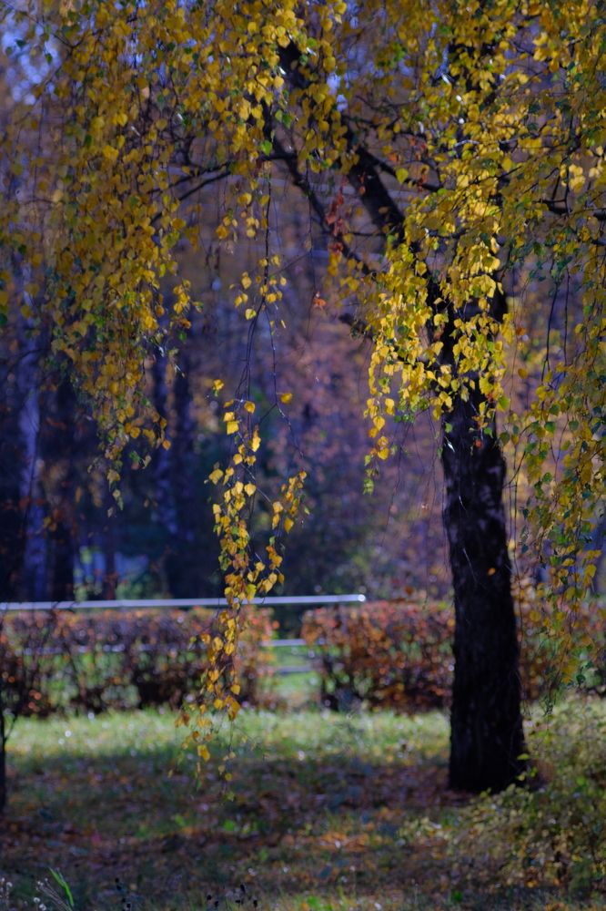 Photograph by Андрей Михайлин