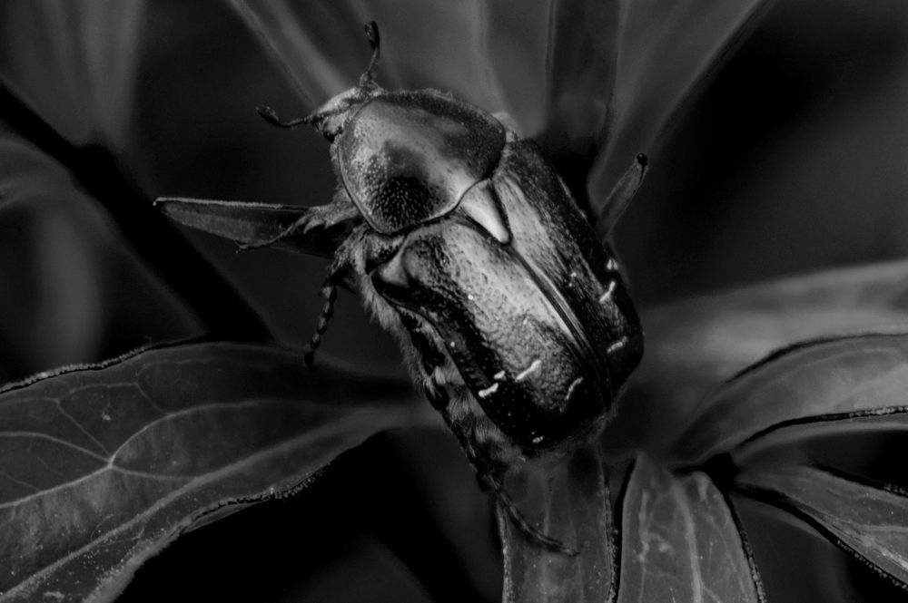 Photograph by  Татьяна Дорожко