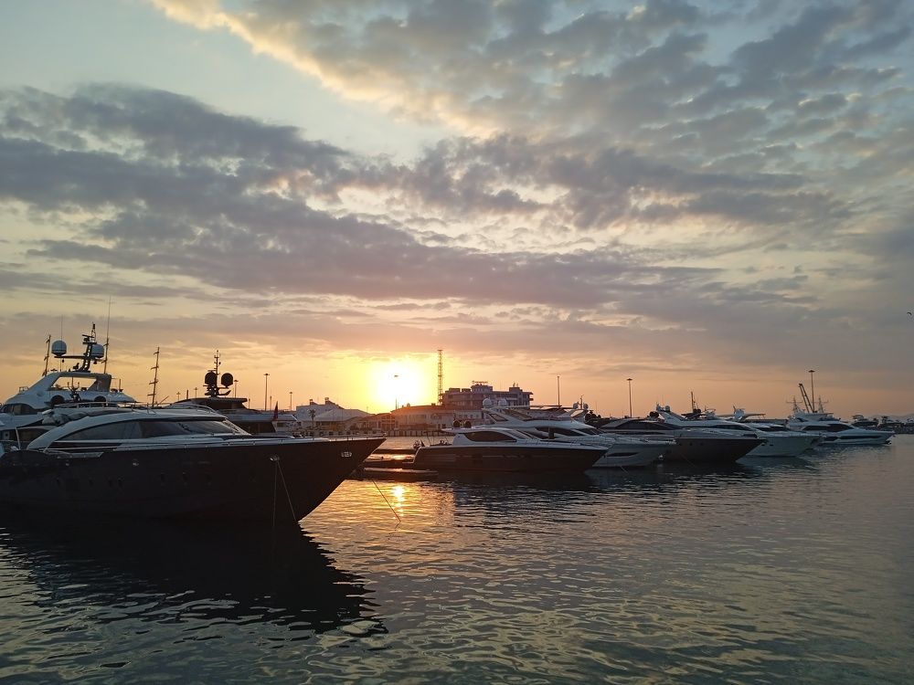 Photo #9592244