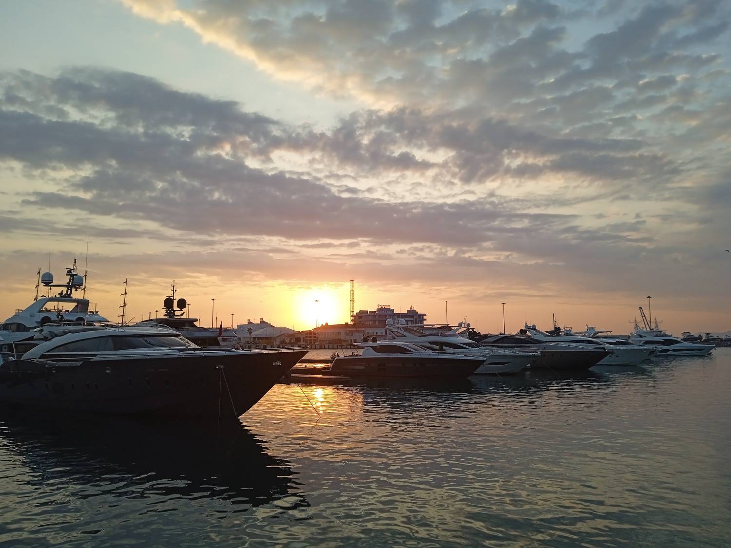 Photo #9592244