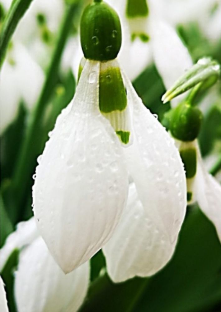 Photograph by Nikolett Mengyi