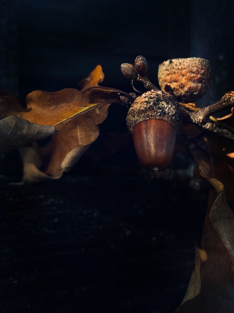 Photograph by Татьяна Нефедова