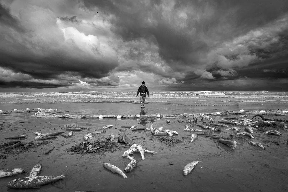 Photograph by Riahi Hosein