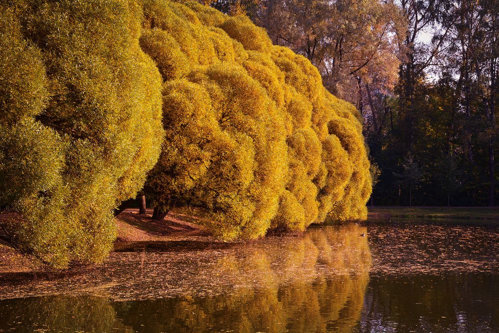 Photograph by Inna Ivanova