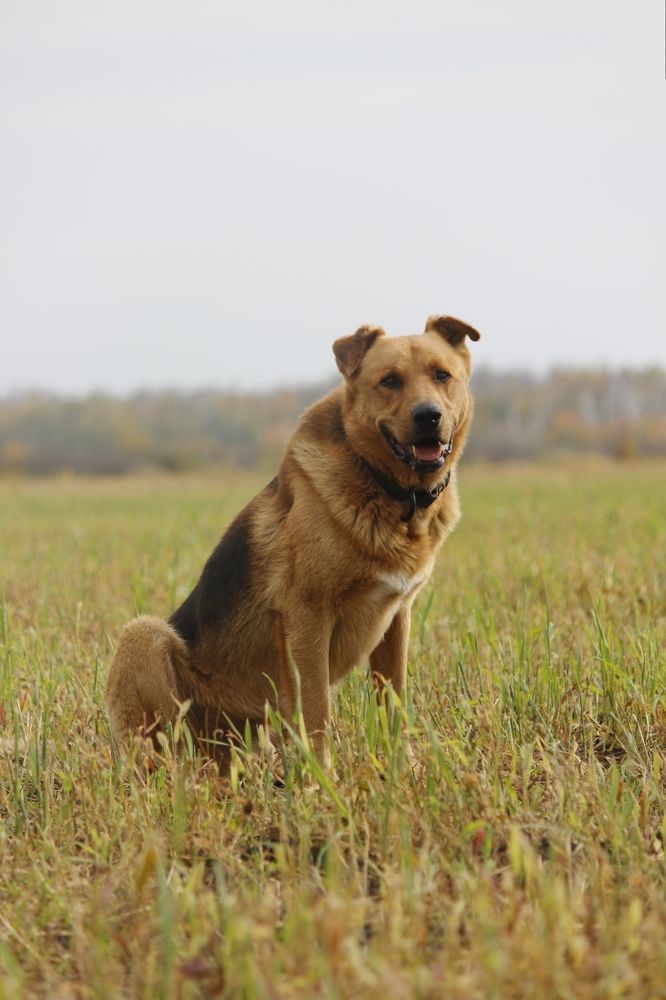 Photograph by Абрам Петерс