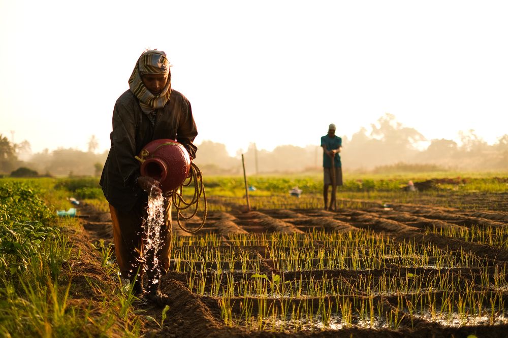 Photograph by Rohan Fernandes