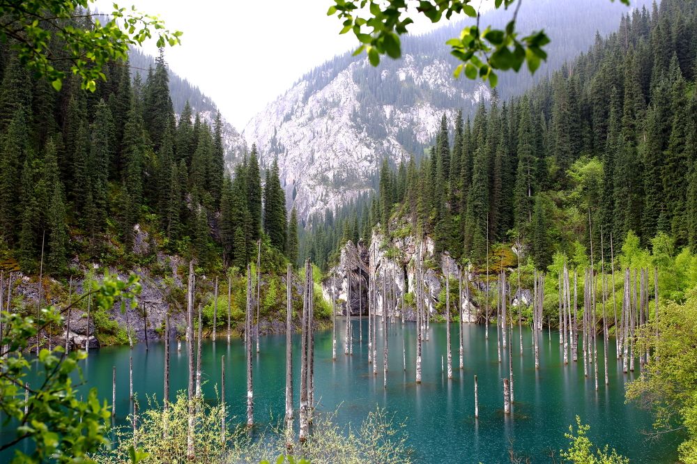 Photograph by Ирина Кан