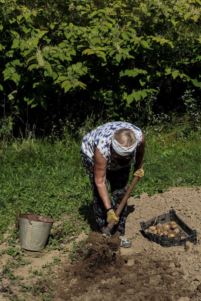 Photograph by Evgenia Korchagova