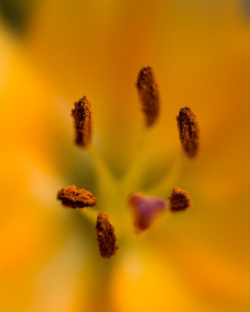 Photograph by Aleksey Leskov