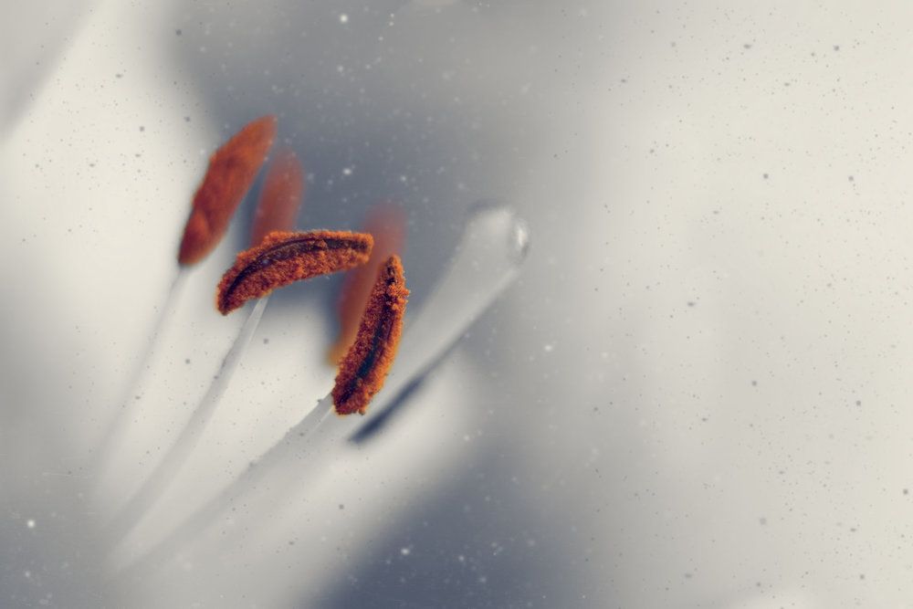 Photograph by Aleksey Leskov