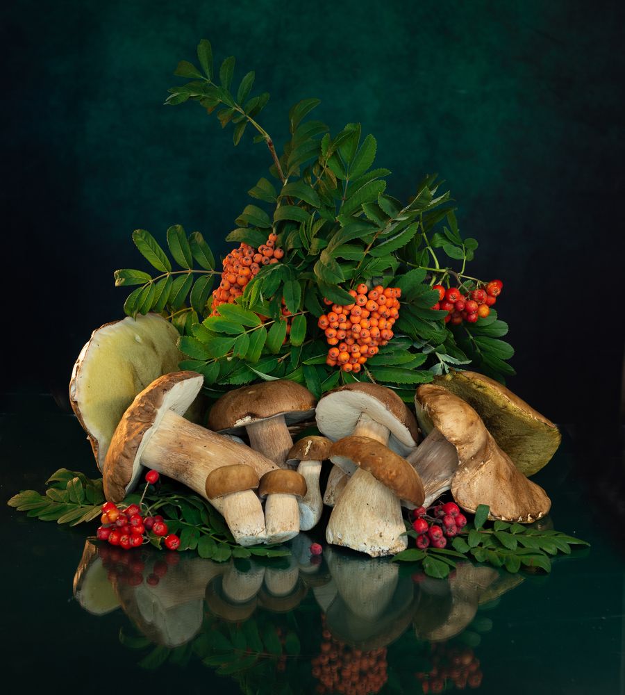 Photograph by Елена Куртеева