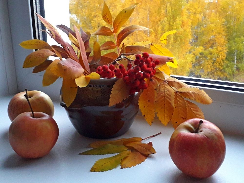 Photograph by Ольга Березовская