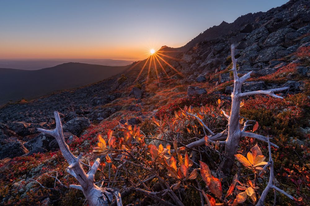 Photograph by Евгений Антонов