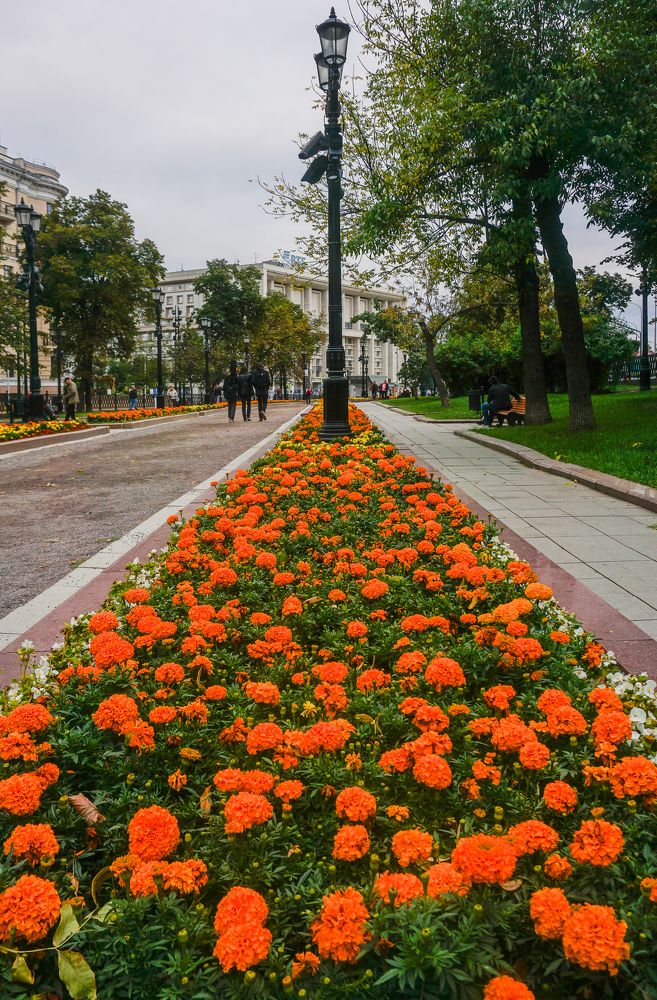 Photograph by Галина Бехметьева