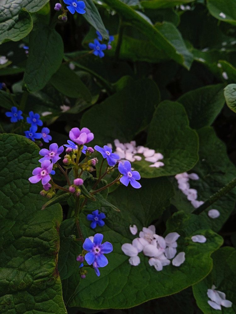 Photograph by Екатерина Щербина