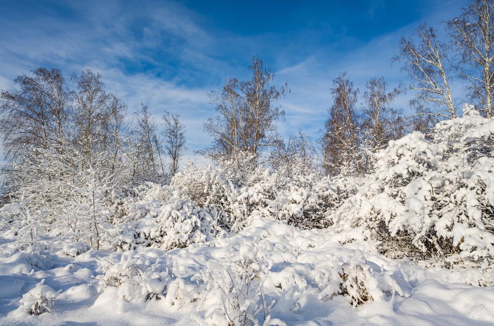 Photograph by NADEZHDA PELYMSKAIA