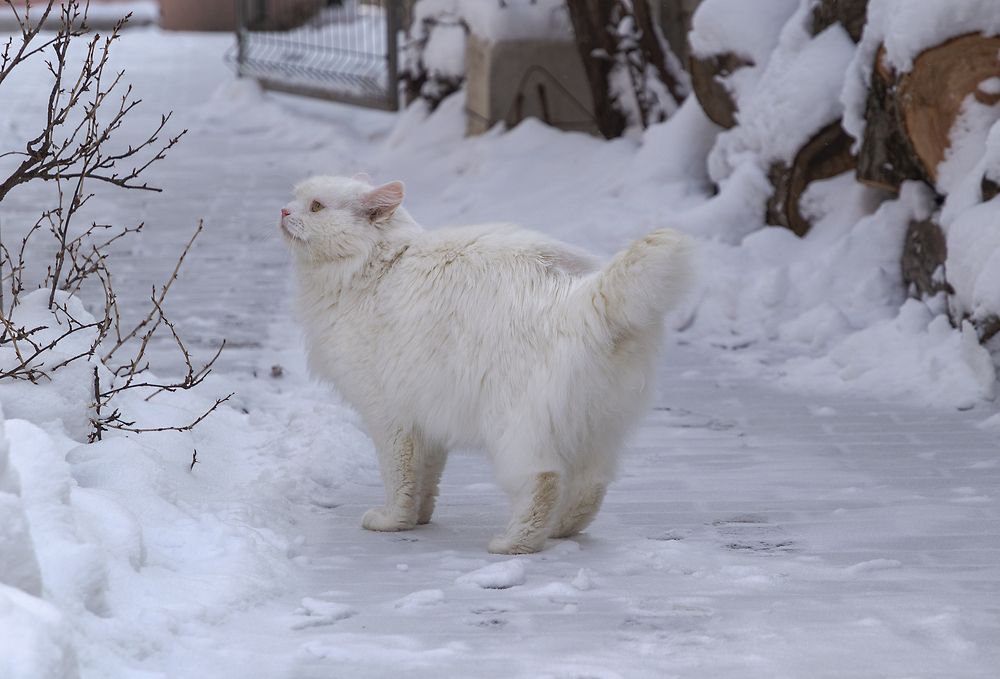 Photograph by Светлана Мельник