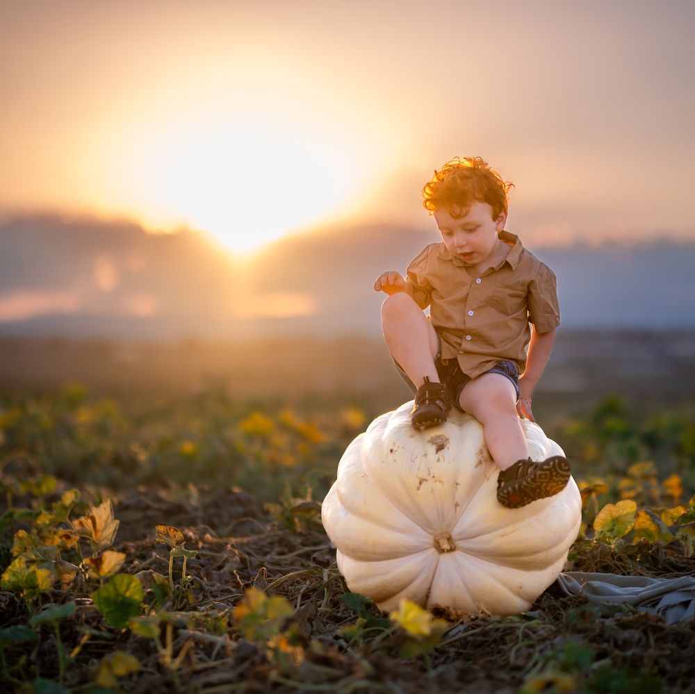 Photograph by Yahav Shafir