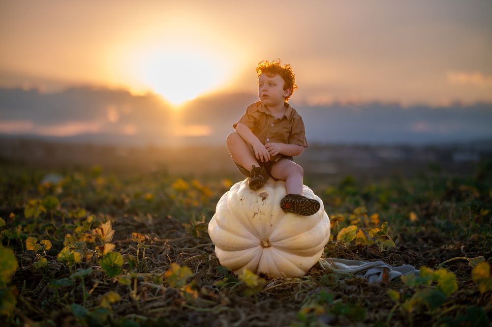 Photograph by Yahav Shafir