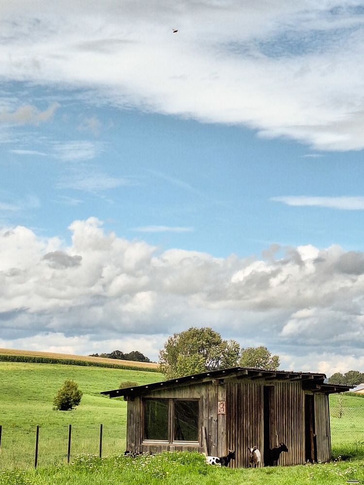 Photograph by Alexandra Fahn