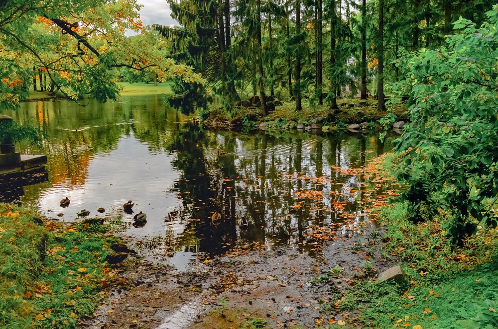 Photograph by Сергей Балухта