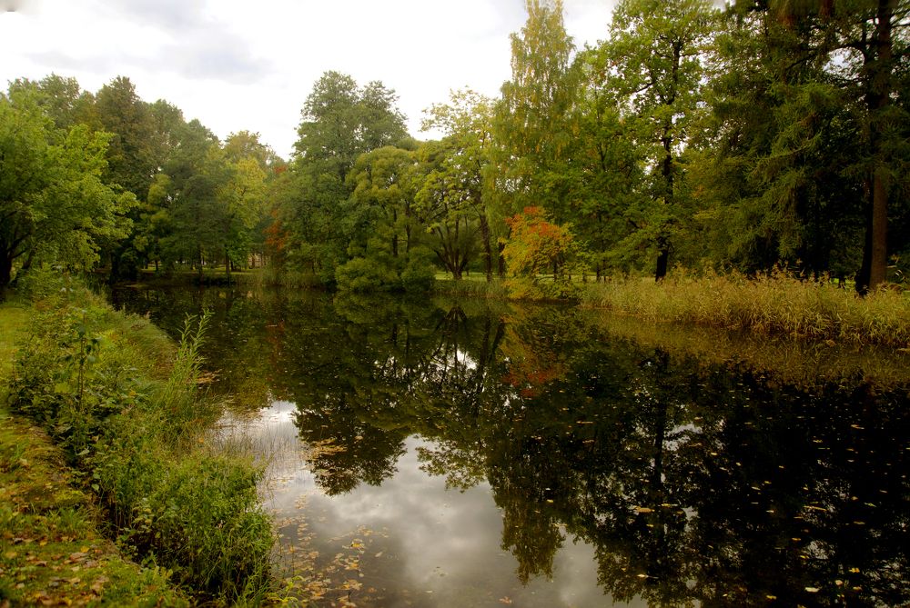 Photograph by Сергей Балухта
