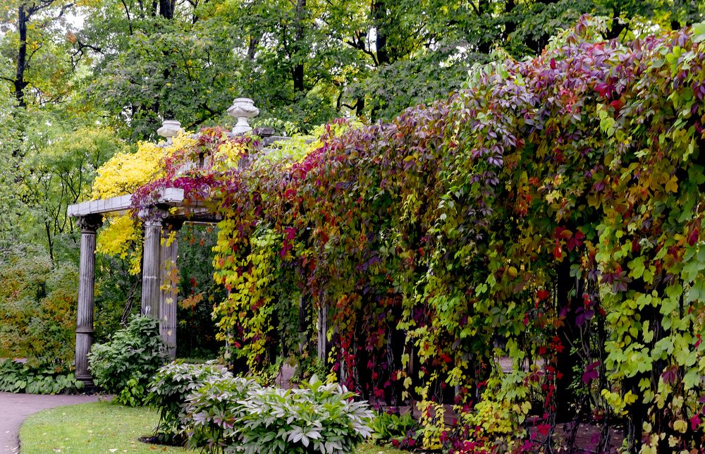 Photograph by Сергей Балухта