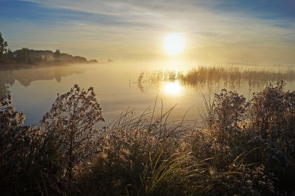 Photograph by Мишустина Татьяна